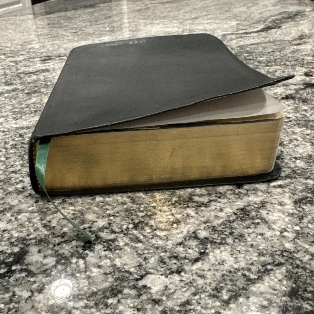 CATHOLIC YOUTH BIBLE--NSRV Catholic Edition-2010 Flexible Leatherette-SUPERB!‎